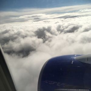 Meet your Posher, Janae